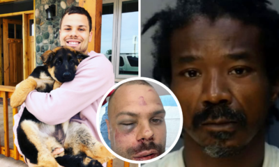 Man Arrested After Allegedly Ordering 2 Pit Bulls to Attack Runner