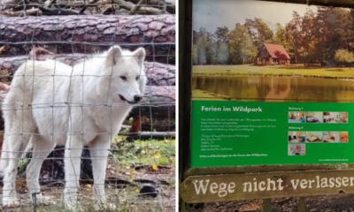 Wildpark Johannismühle/Google Maps