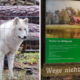Wildpark Johannismühle/Google Maps